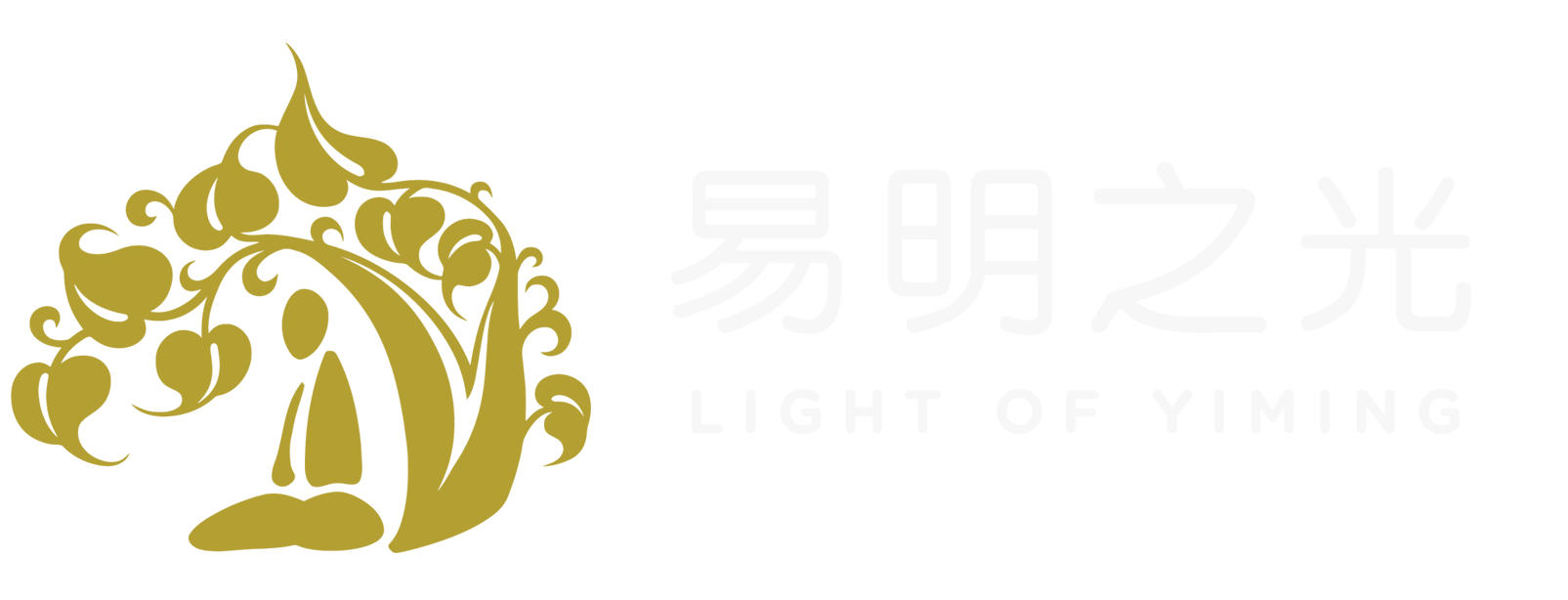 易明之光