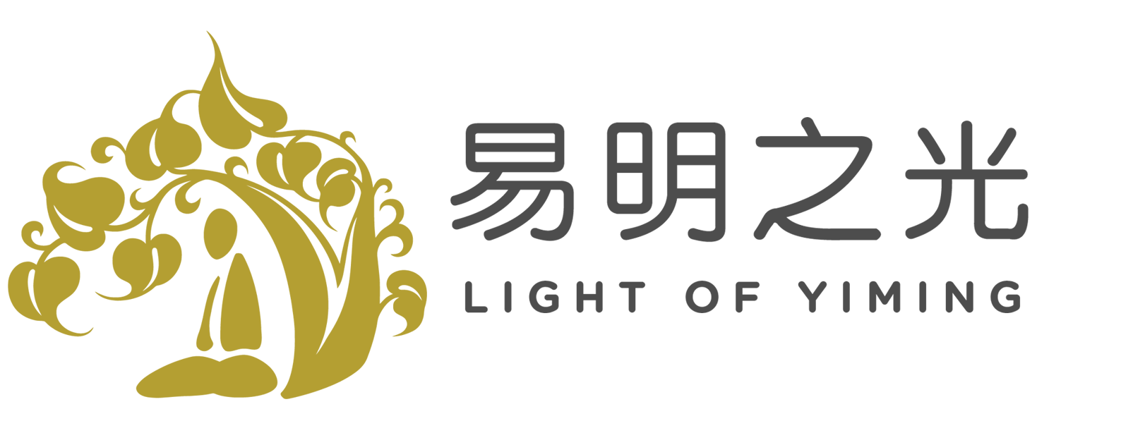 易明之光