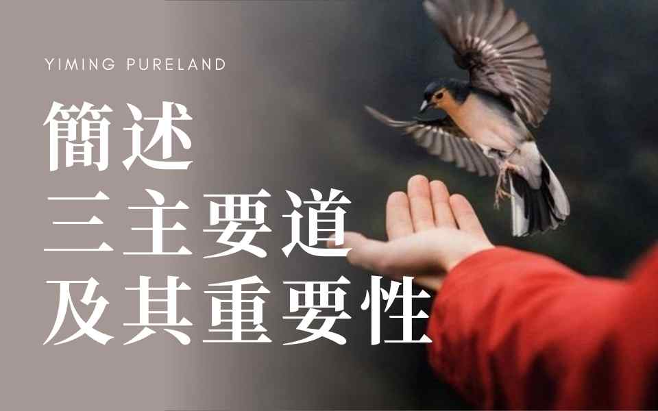 简述三主要道及其重要性