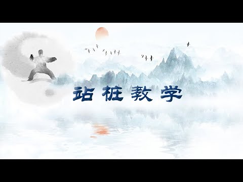 站桩指导教学