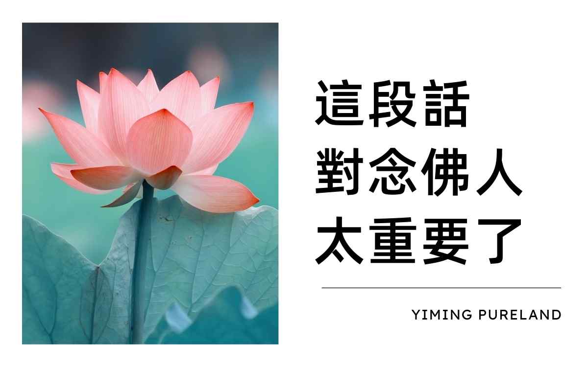 这段话对念佛人很重要