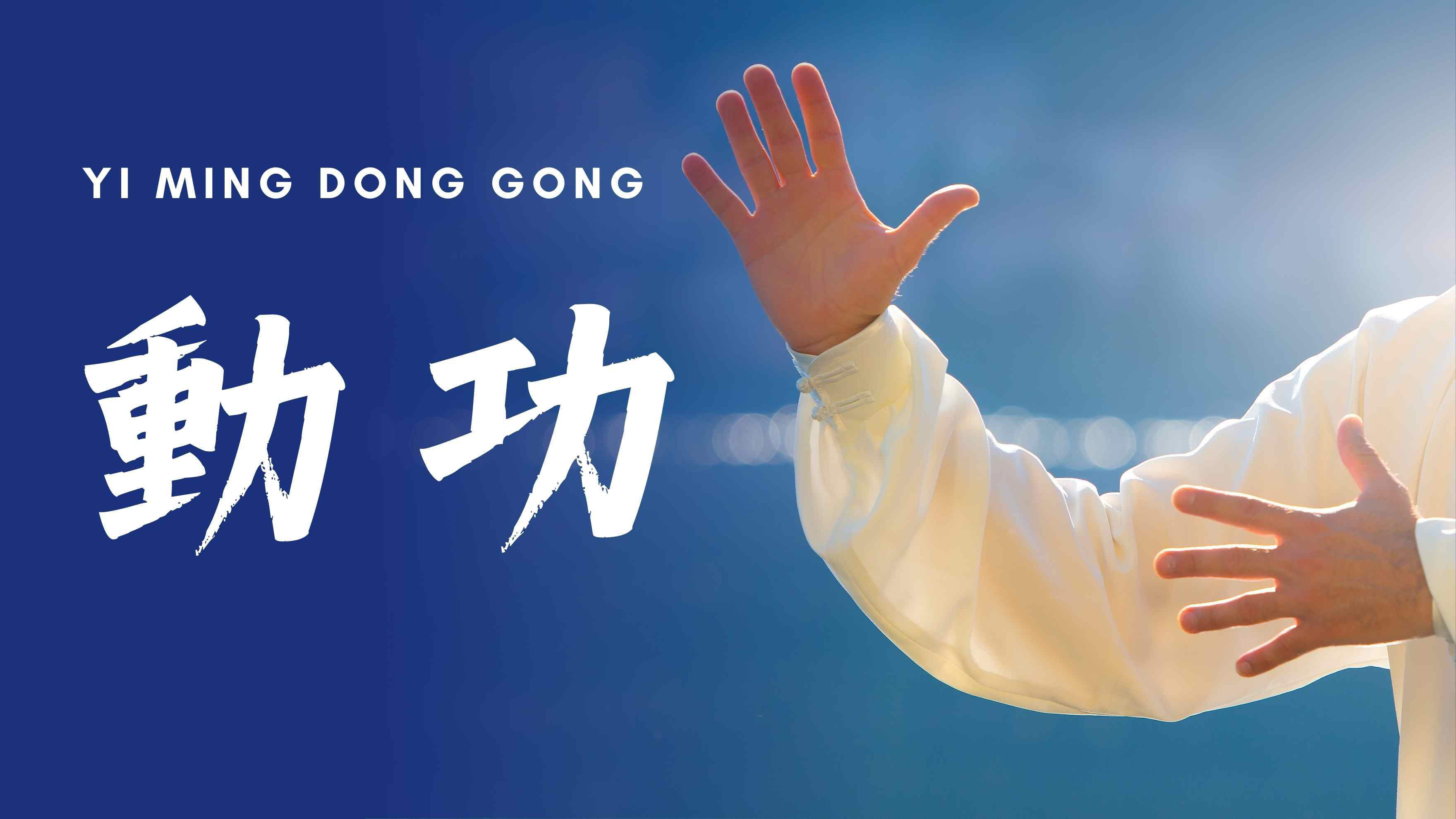 易明动功