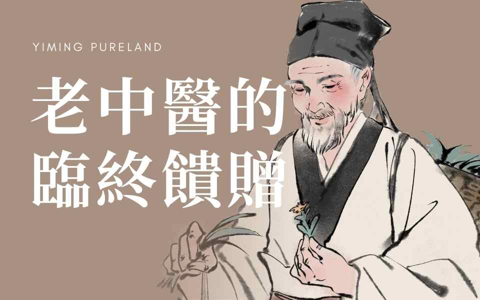 老中医的临终馈赠全集