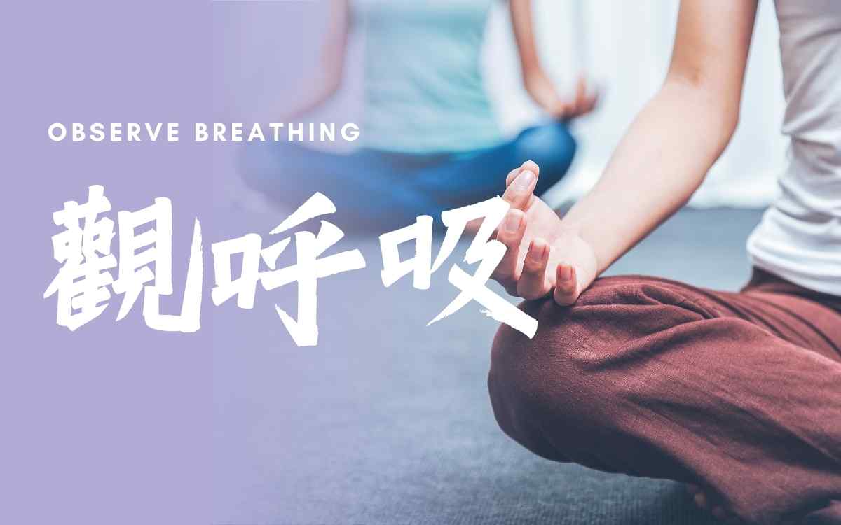 观呼吸