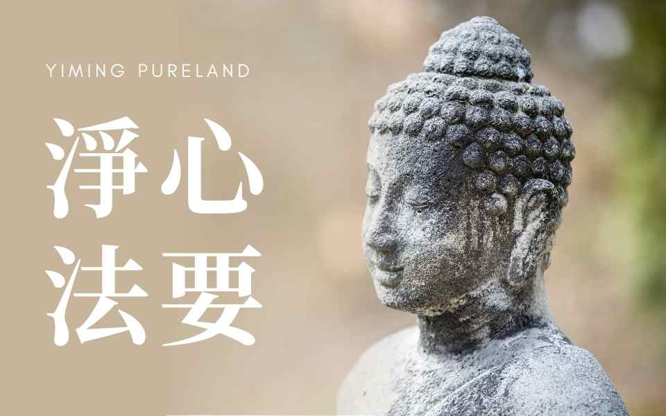 净心法要第1集