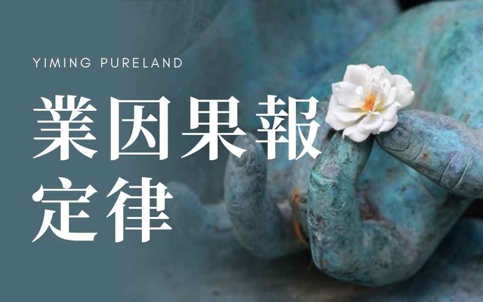 业因果报定律