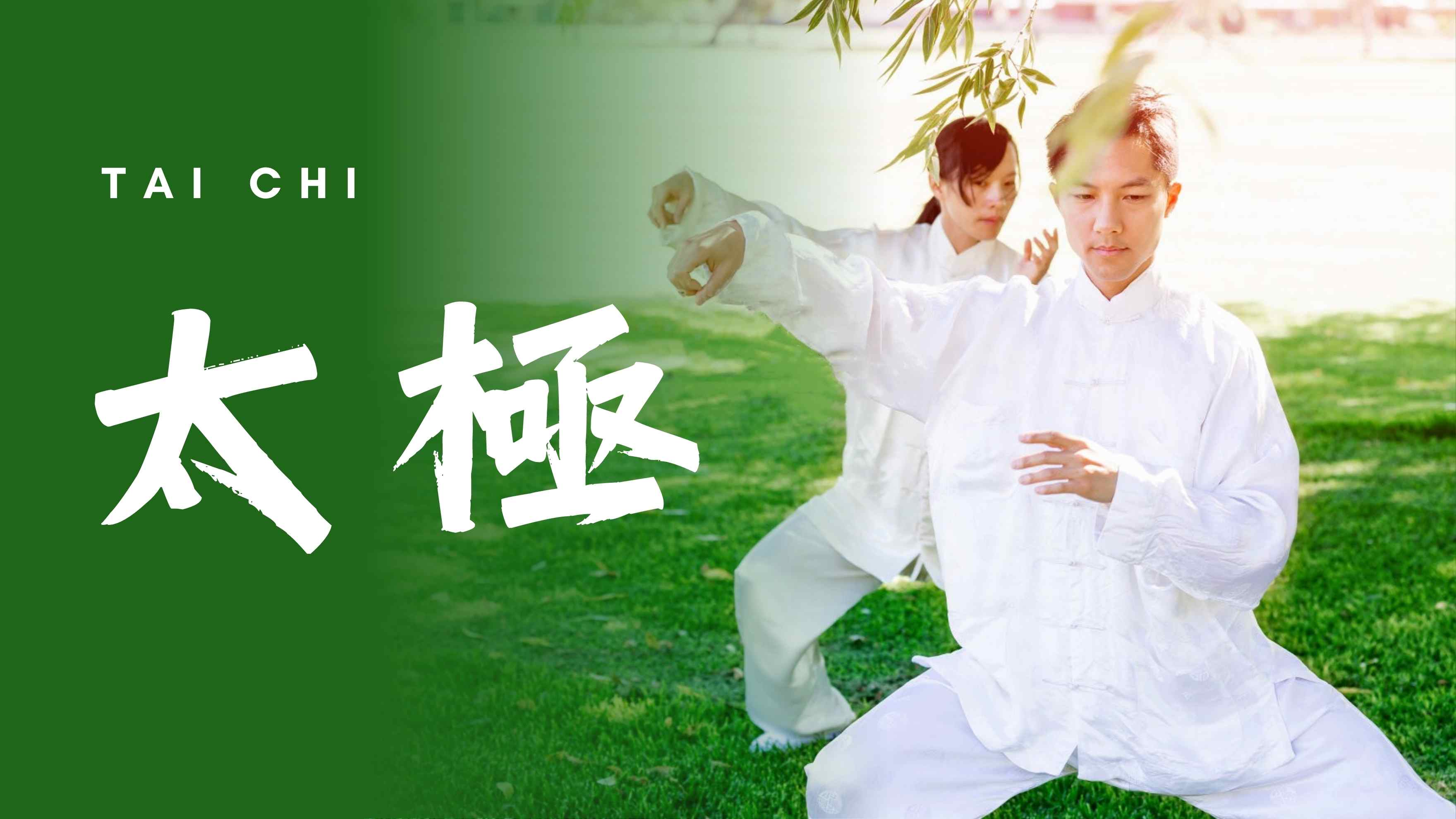 太极开示与教学