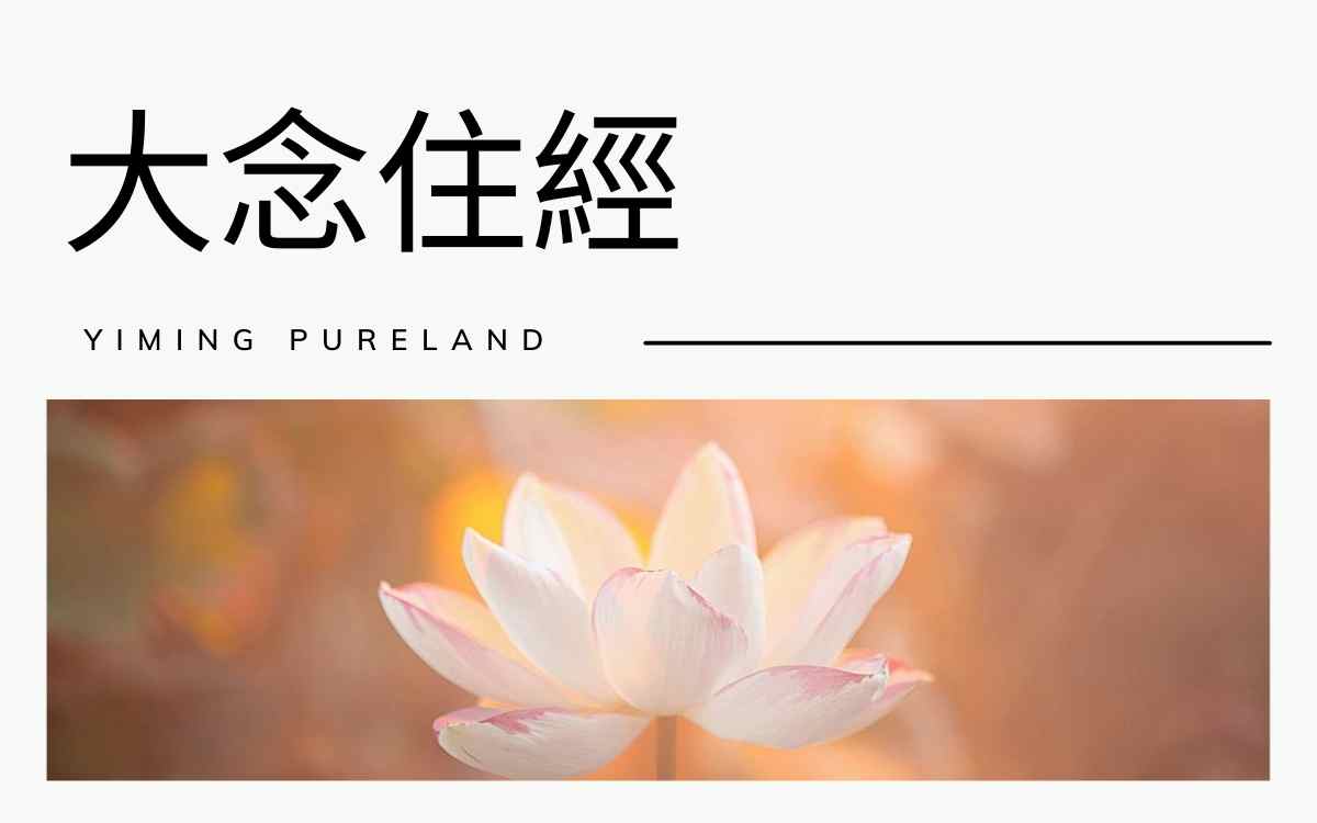 大念住经