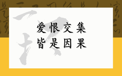 爱恨交集 皆是因果
