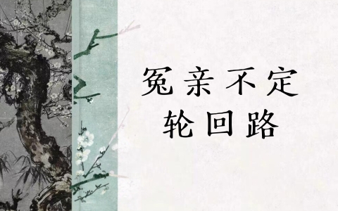 冤亲不定 轮回路