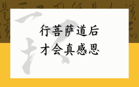 行菩萨道后 才会真感恩