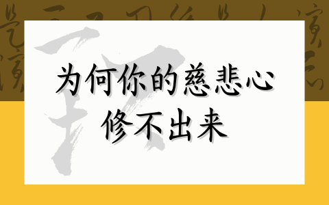 为何你的慈悲心修不出来