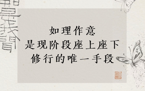 如理作意是现阶段座上座下修行的唯一手段