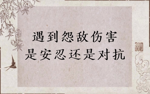 遇到怨敌伤害是安忍还是对抗
