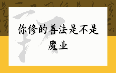 你修的善法是不是魔业