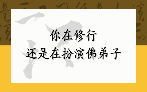 你在修行还是在扮演佛弟子