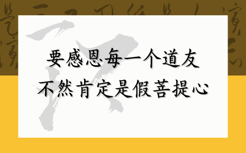 要感恩每一个道友 不然肯定是假菩提心