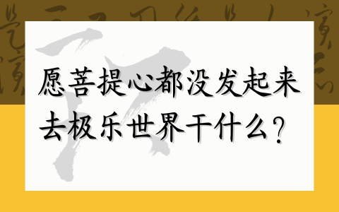 愿菩提心都没发起来，去极乐世界干什么？ 