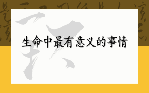 生命中最有意义的事情
