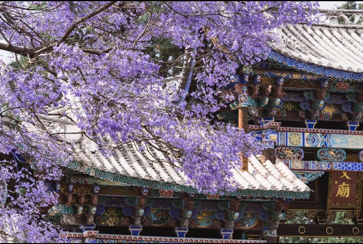 大理・巍山古城