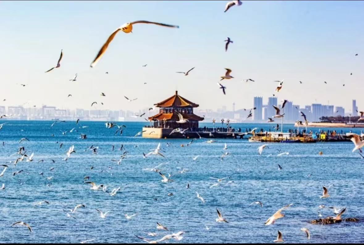 青岛